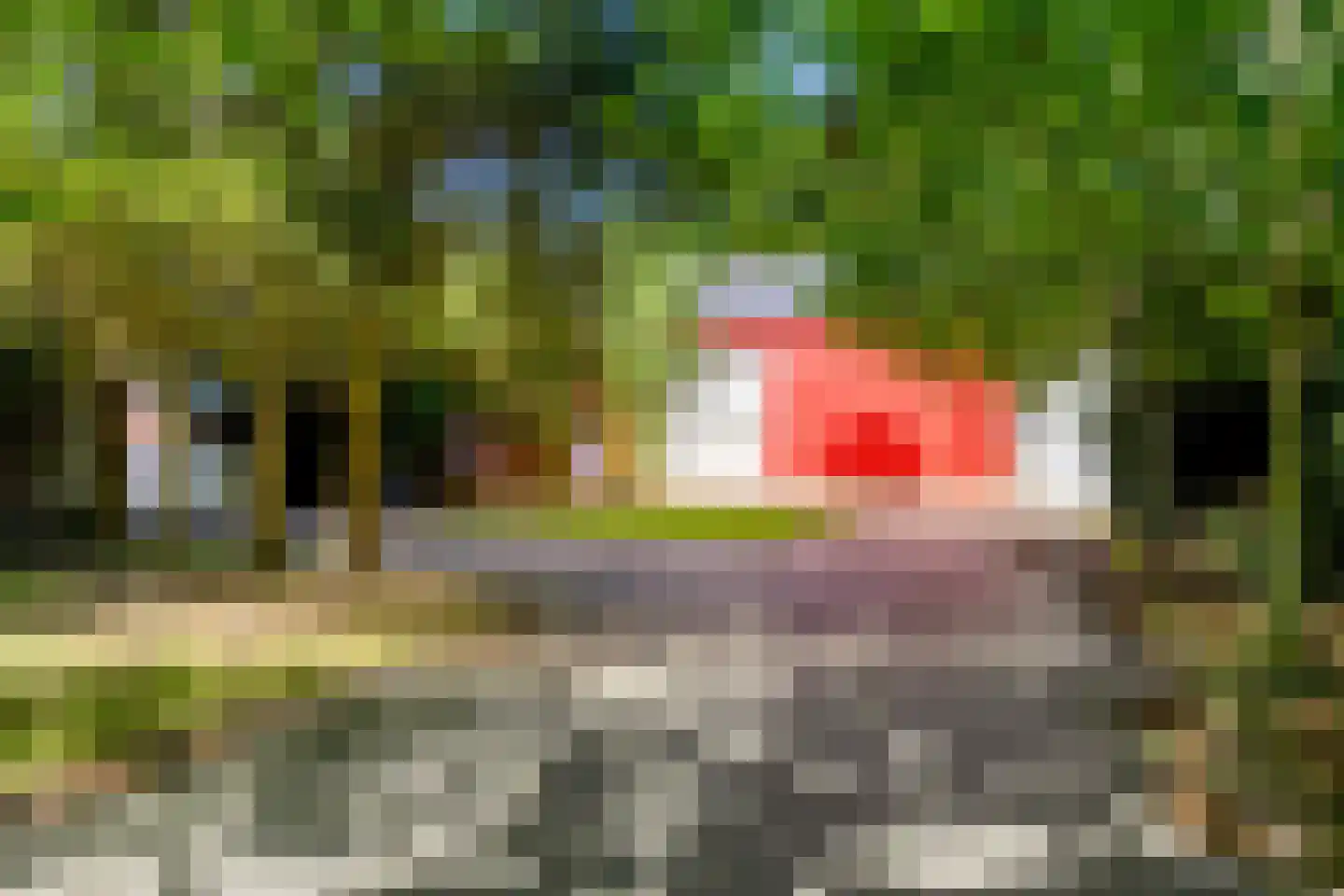 Zuiderdiep 71 Drouwenermond thumbnail 4