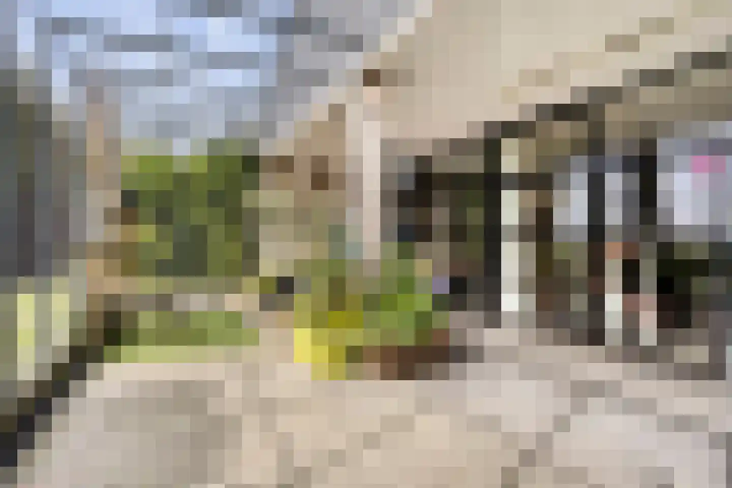 Zuiderdiep 71 Drouwenermond thumbnail 40