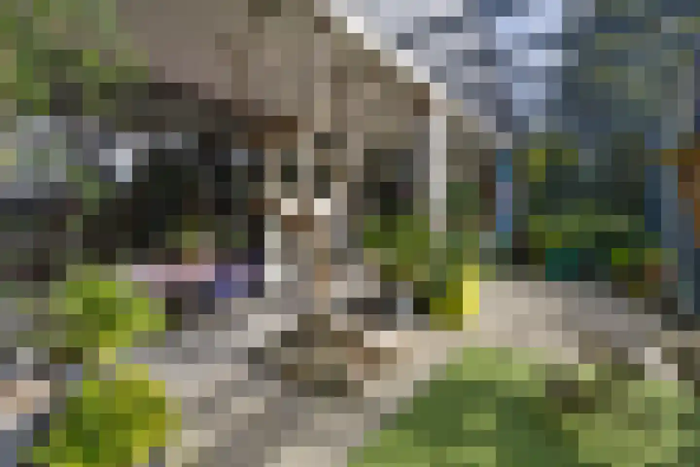 Zuiderdiep 71 Drouwenermond thumbnail 41
