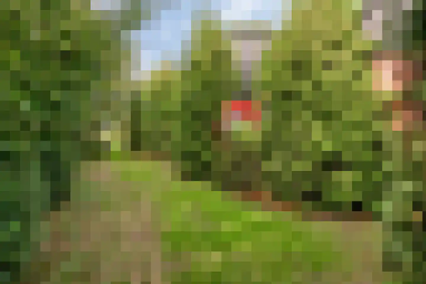 Zuiderdiep 71 Drouwenermond thumbnail 43