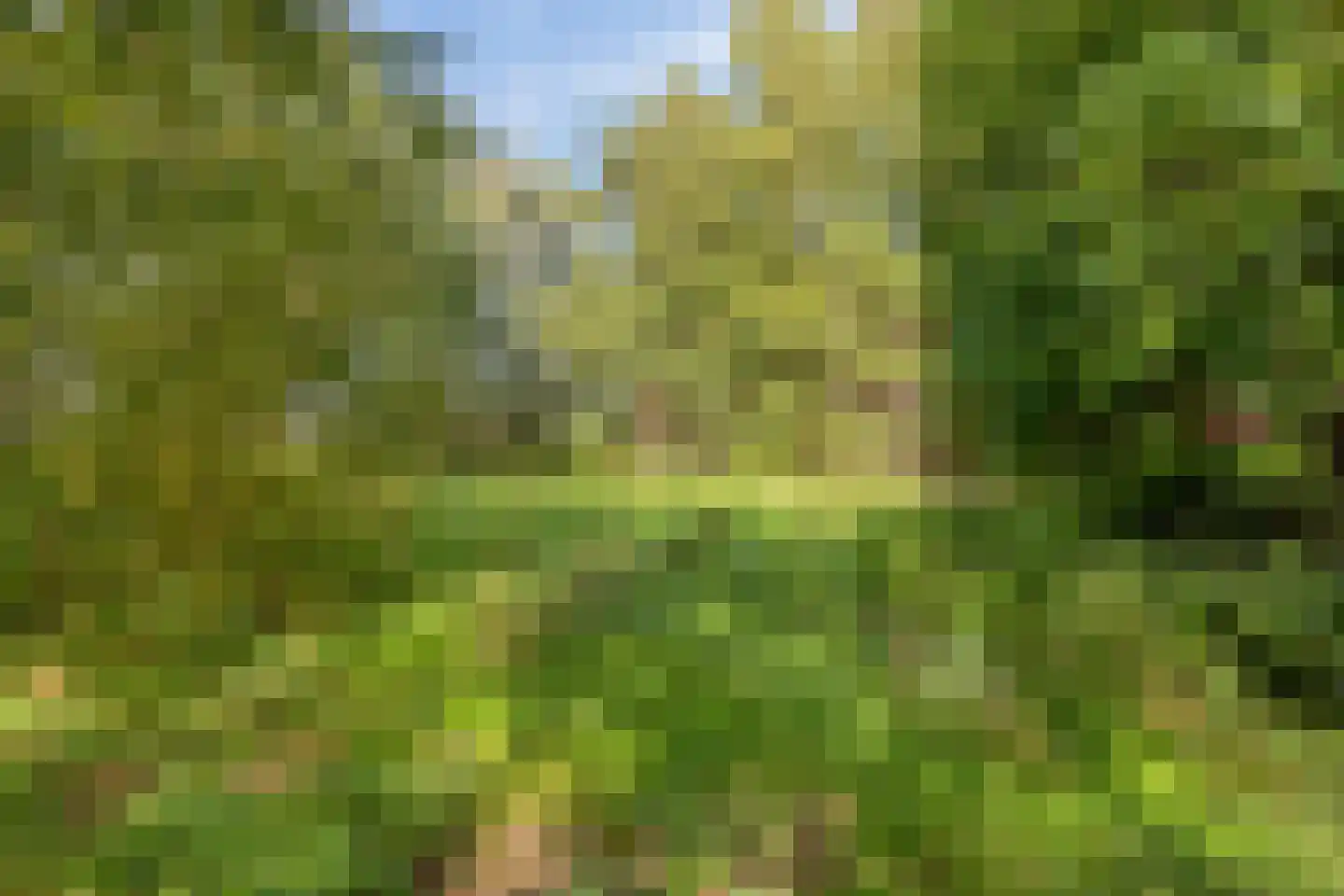 Zuiderdiep 71 Drouwenermond thumbnail 44