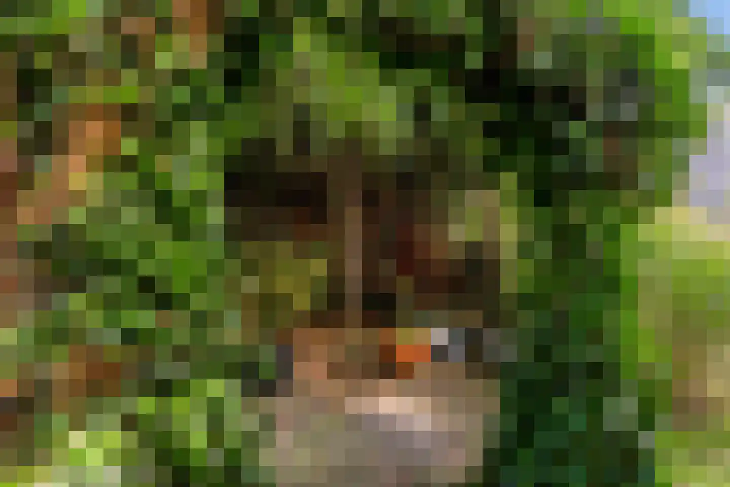Zuiderdiep 71 Drouwenermond thumbnail 45