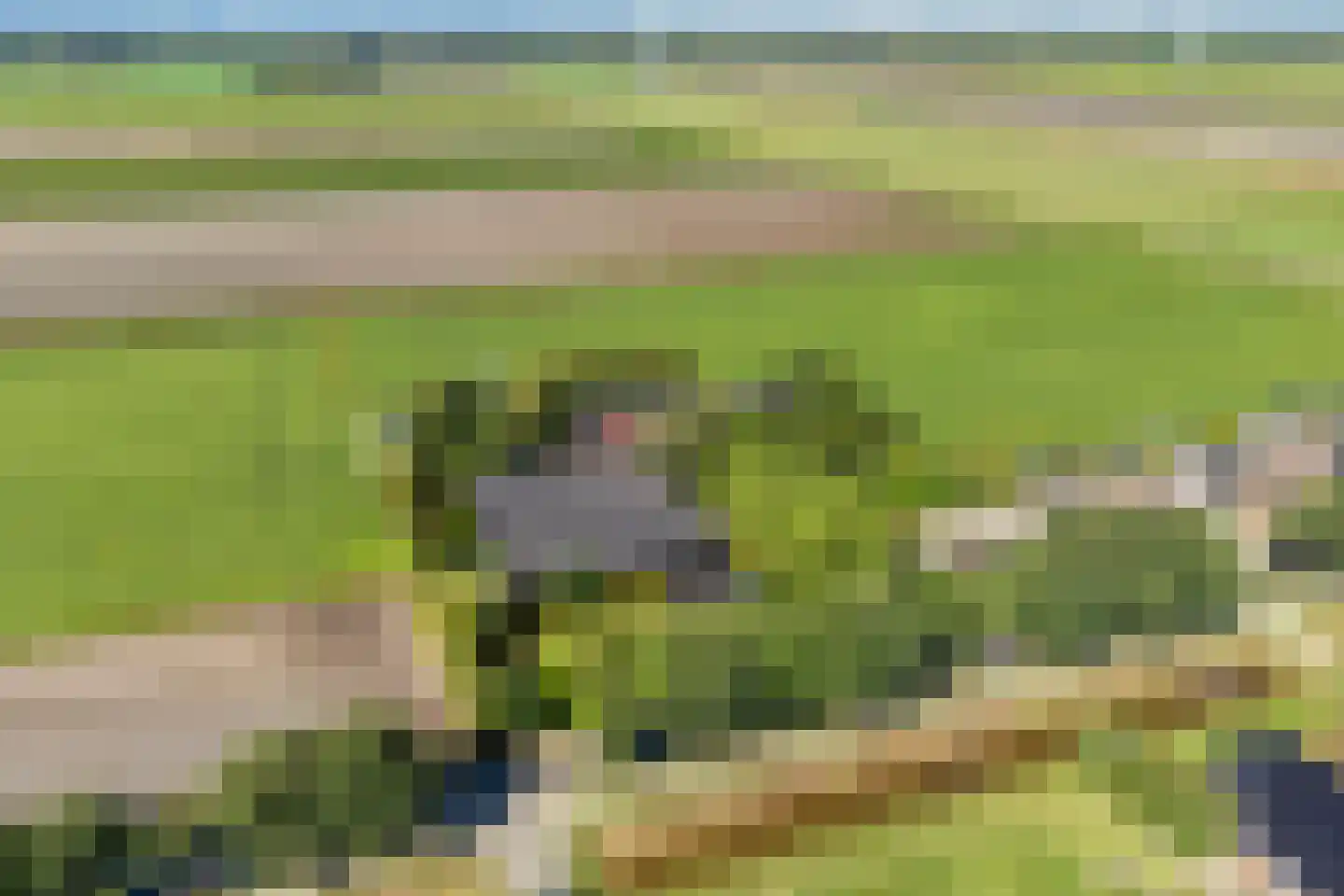 Zuiderdiep 71 Drouwenermond thumbnail 6