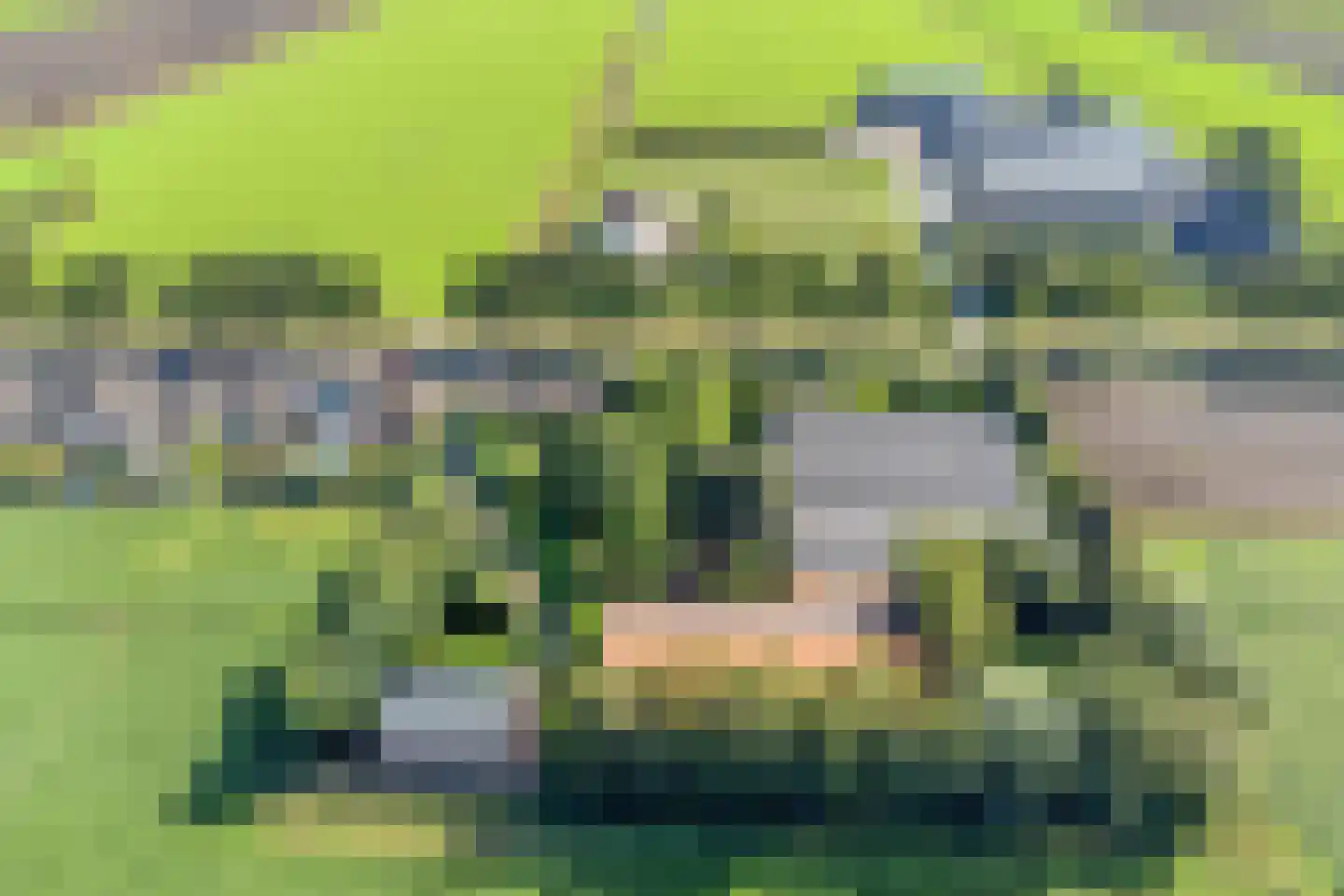 Zuiderdiep 71 Drouwenermond thumbnail 7