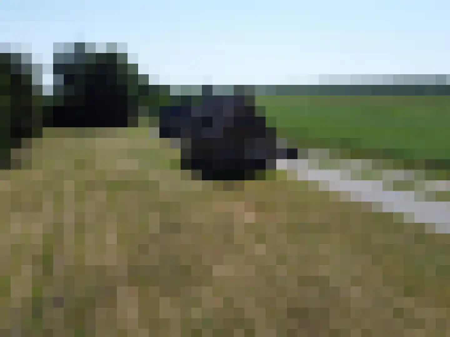 Zuiderdiep 74 2e Exloërmond thumbnail 22