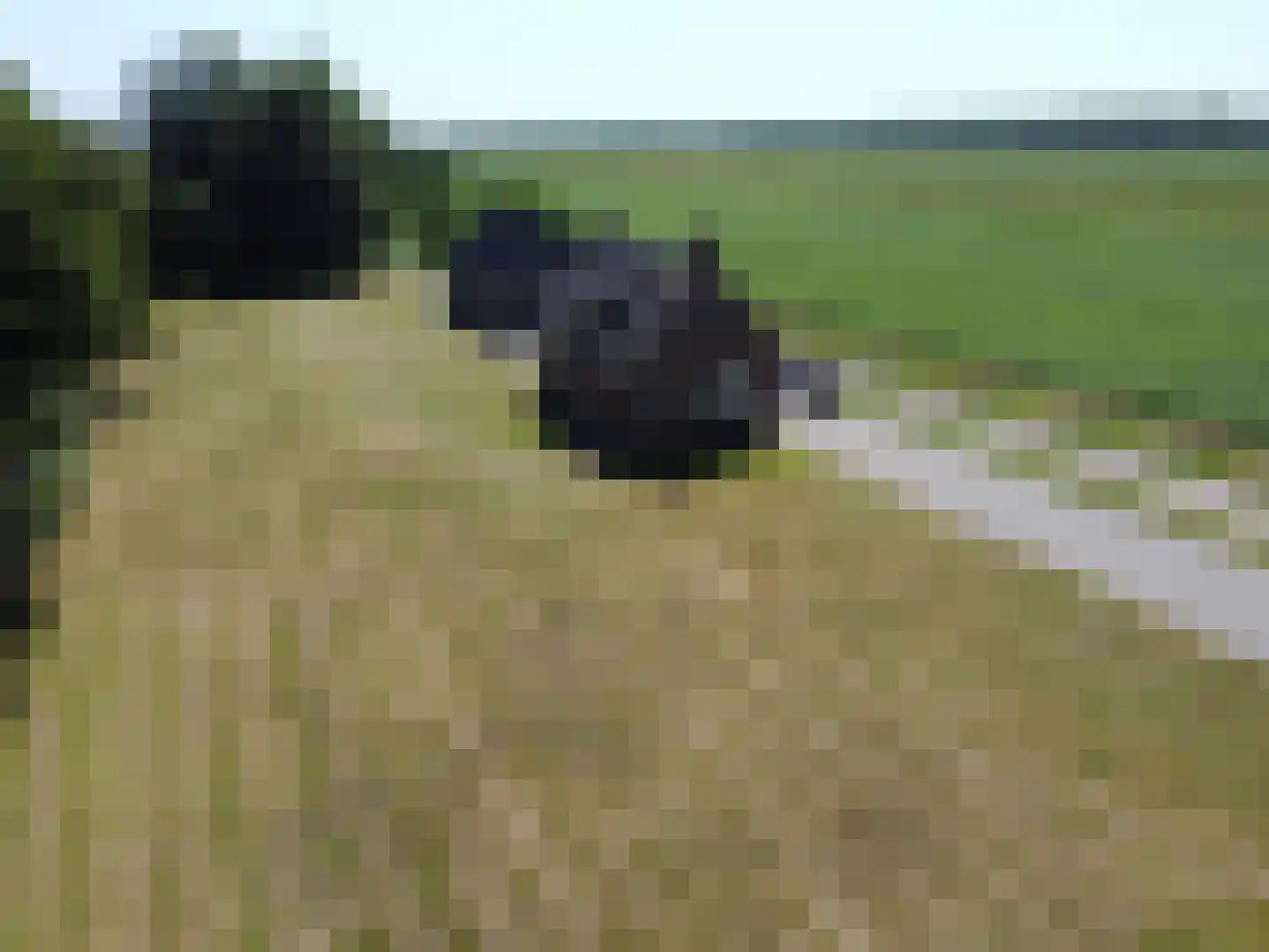 Zuiderdiep 74 2e Exloërmond thumbnail 24