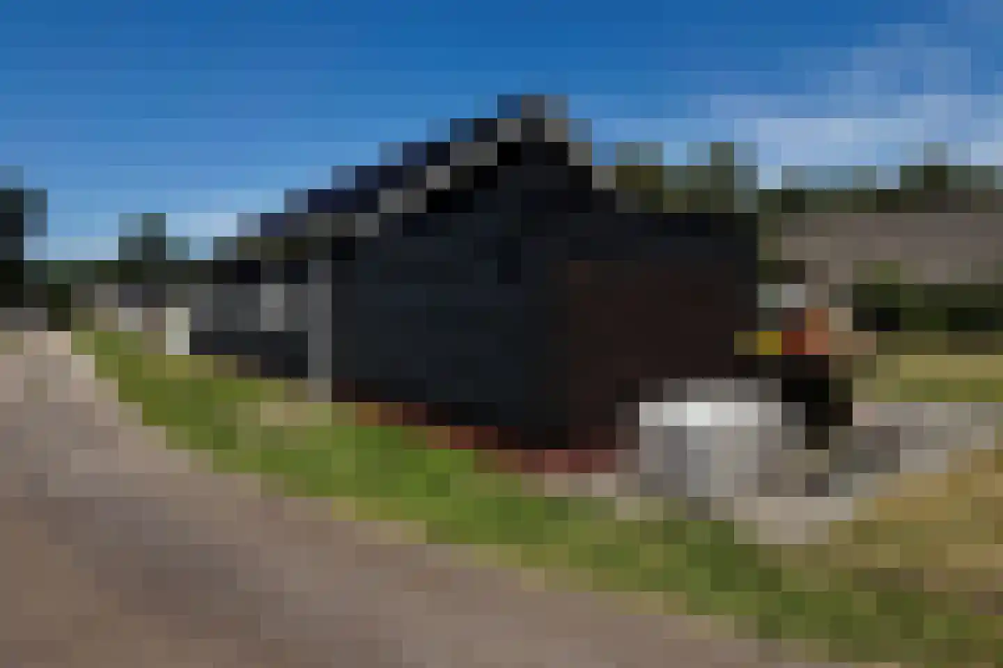 Zuiderdiep 74 2e Exloërmond thumbnail 9