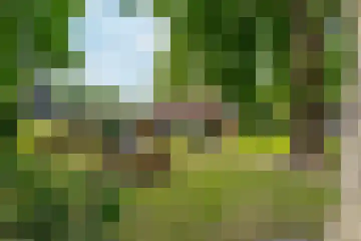 Zuiderdiep 8 Drouwenermond thumbnail 10