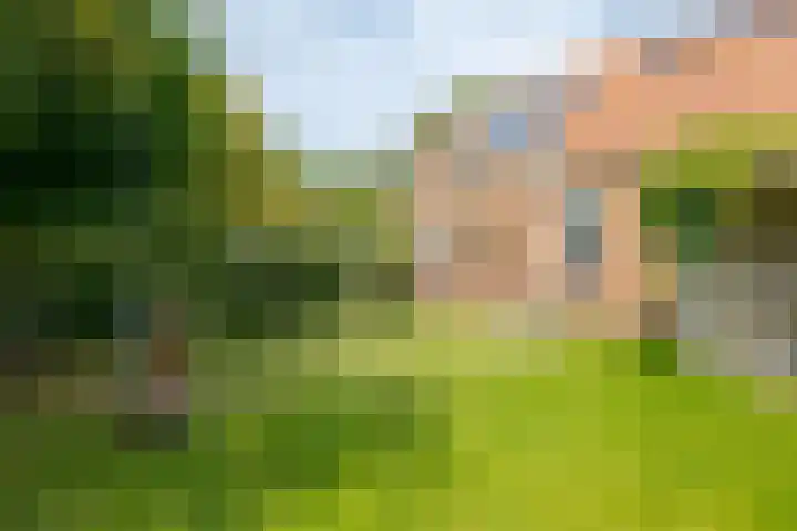 Zuiderdiep 8 Drouwenermond thumbnail 11