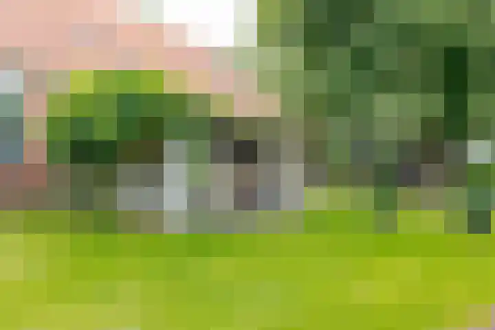 Zuiderdiep 8 Drouwenermond thumbnail 13