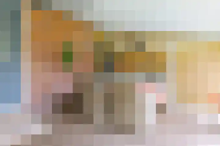 Zuiderdiep 8 Drouwenermond thumbnail 15