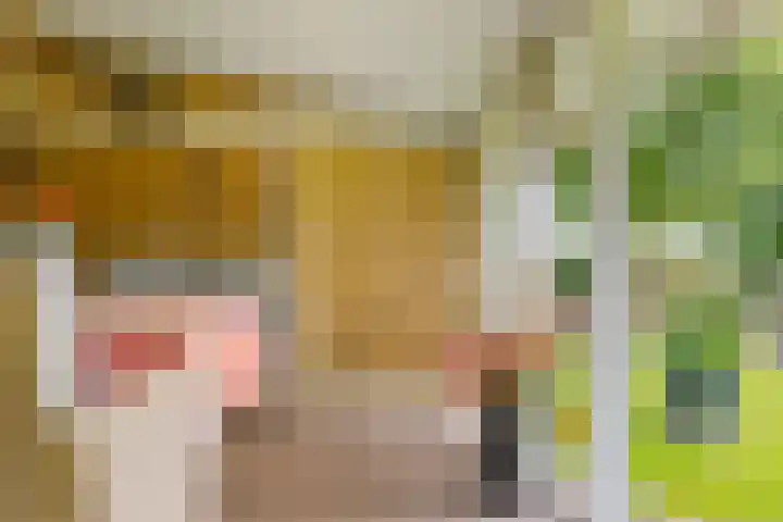Zuiderdiep 8 Drouwenermond thumbnail 16