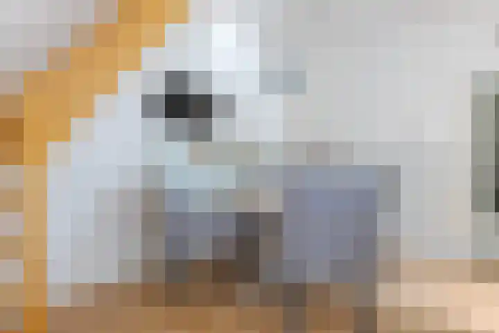 Zuiderdiep 8 Drouwenermond thumbnail 21