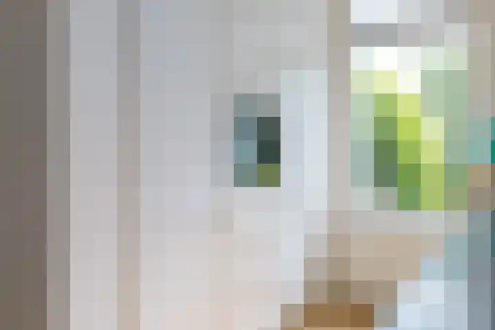 Zuiderdiep 8 Drouwenermond thumbnail 24