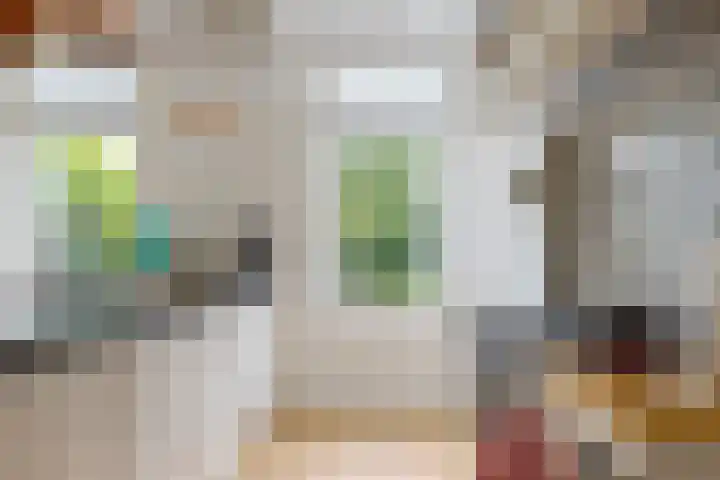 Zuiderdiep 8 Drouwenermond thumbnail 29