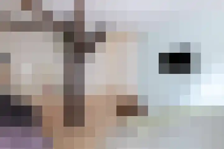Zuiderdiep 8 Drouwenermond thumbnail 39