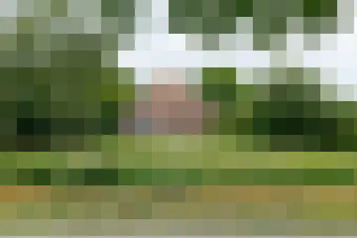 Zuiderdiep 8 Drouwenermond thumbnail 4