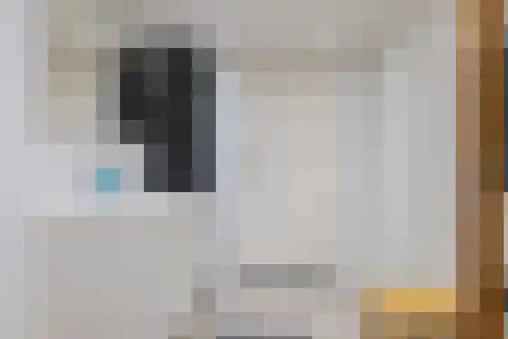 Zuiderdiep 8 Drouwenermond thumbnail 45