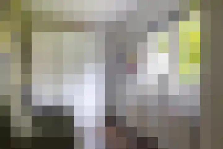 Zuiderdiep 8 Drouwenermond thumbnail 48