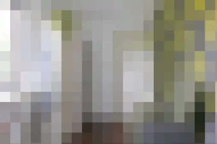 Zuiderdiep 8 Drouwenermond thumbnail 49