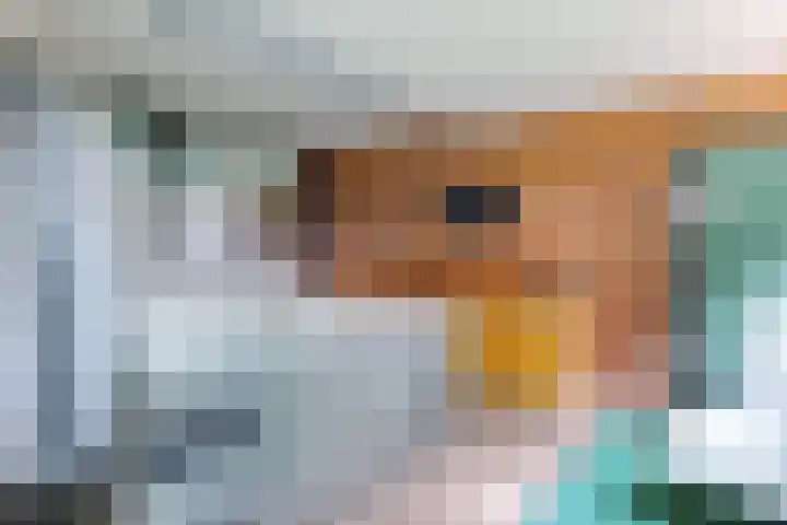 Zuiderdiep 8 Drouwenermond thumbnail 52