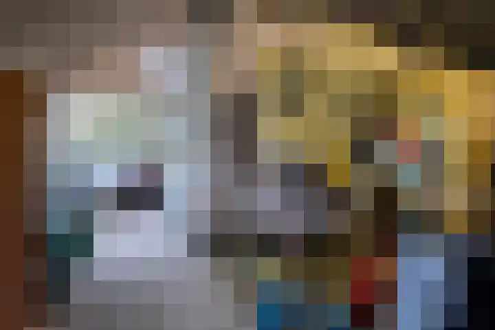 Zuiderdiep 8 Drouwenermond thumbnail 57