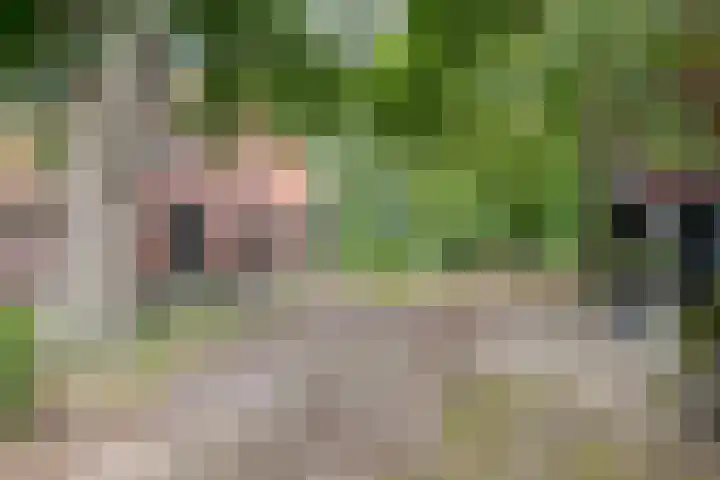 Zuiderdiep 8 Drouwenermond thumbnail 59