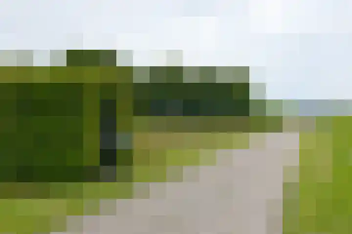 Zuiderdiep 8 Drouwenermond thumbnail 6