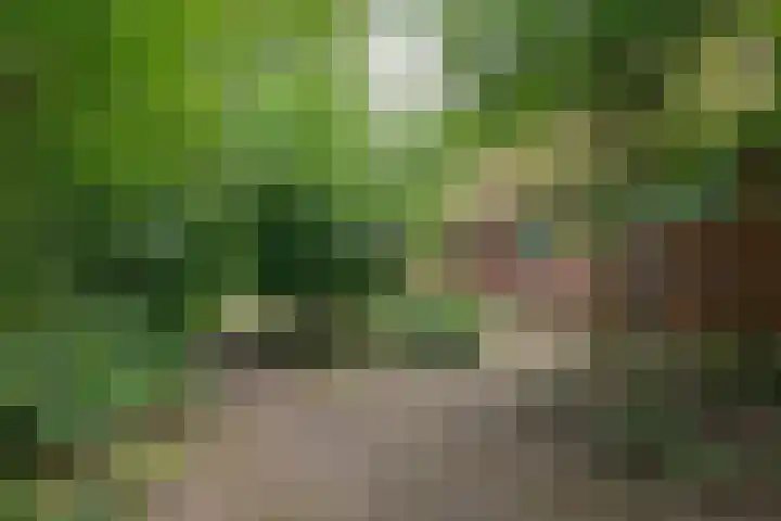 Zuiderdiep 8 Drouwenermond thumbnail 60