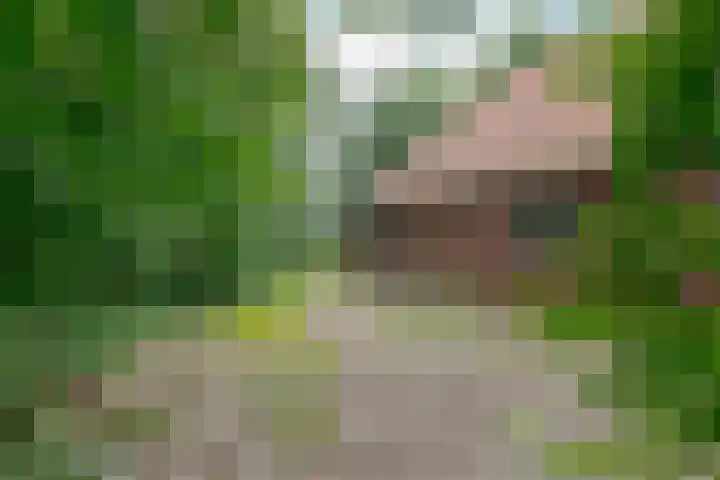Zuiderdiep 8 Drouwenermond thumbnail 61