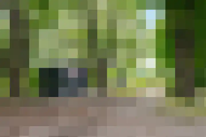 Zuiderdiep 8 Drouwenermond thumbnail 63