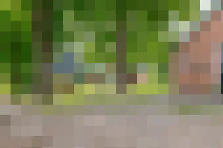 Zuiderdiep 8 Drouwenermond thumbnail 64