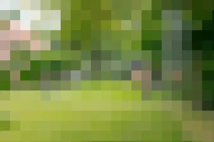 Zuiderdiep 8 Drouwenermond thumbnail 65