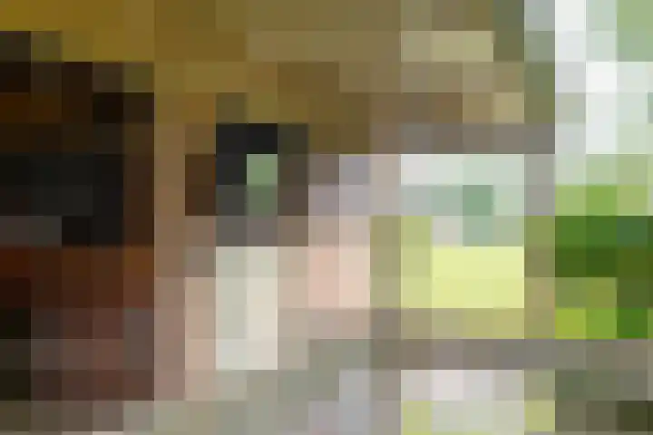 Zuiderdiep 8 Drouwenermond thumbnail 68