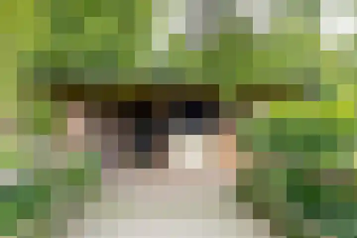 Zuiderdiep 8 Drouwenermond thumbnail 69