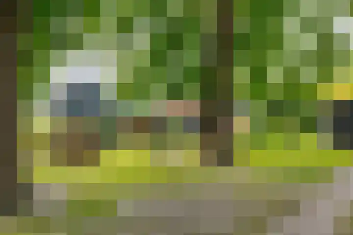 Zuiderdiep 8 Drouwenermond thumbnail 7