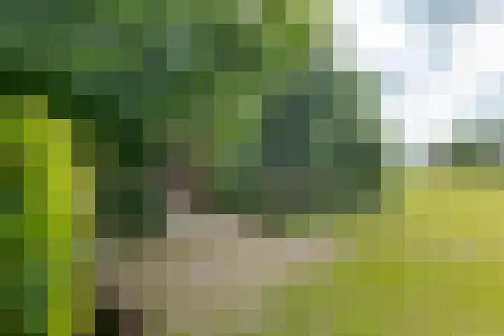Zuiderdiep 8 Drouwenermond thumbnail 71