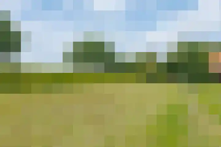 Zuiderdiep 8 Drouwenermond thumbnail 73
