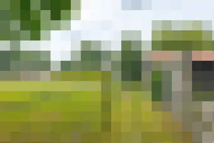 Zuiderdiep 8 Drouwenermond thumbnail 74