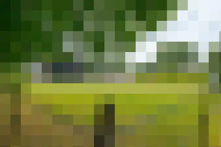 Zuiderdiep 8 Drouwenermond thumbnail 75
