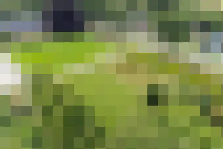 Zuiderdiep 8 Drouwenermond thumbnail 76