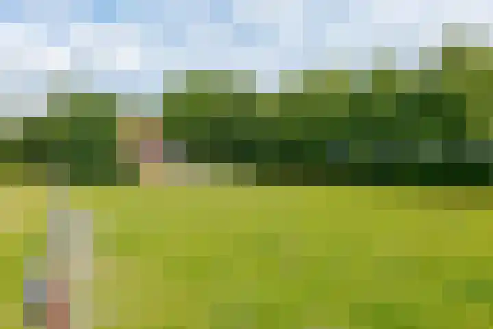 Zuiderdiep 8 Drouwenermond thumbnail 77