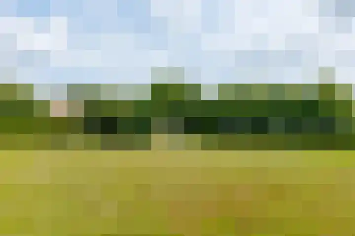 Zuiderdiep 8 Drouwenermond thumbnail 78