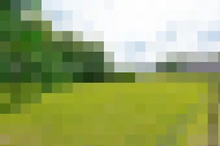 Zuiderdiep 8 Drouwenermond thumbnail 79