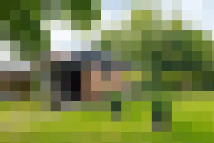 Zuiderdiep 8 Drouwenermond thumbnail 8