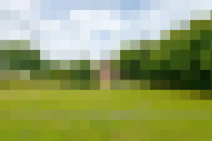Zuiderdiep 8 Drouwenermond thumbnail 80