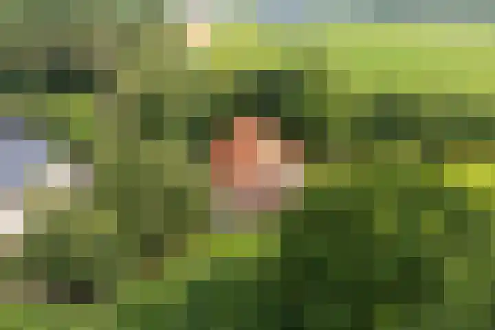 Zuiderdiep 8 Drouwenermond thumbnail 81