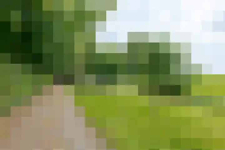 Zuiderdiep 8 Drouwenermond thumbnail 82