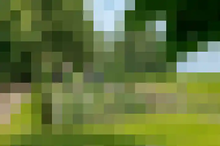 Zuiderdiep 8 Drouwenermond thumbnail 83