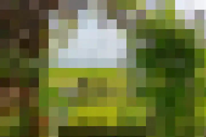 Zuiderdiep 8 Drouwenermond thumbnail 84